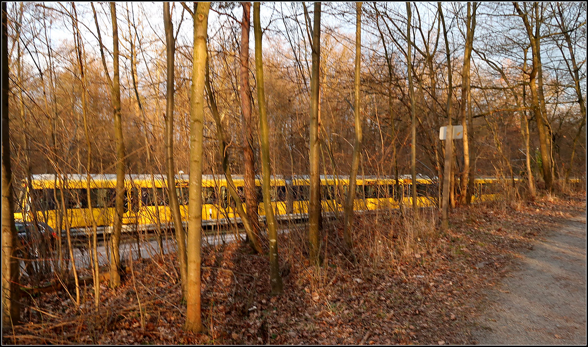 Durch den Wald -

Farblich fügt sich der Stadtbahnzug sehr schön in die Abendlichtstimmung des Waldes ein. 
Bei Stuttgart-Weilimdorf an der U6.

04.03.2017 