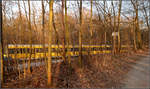 Durch den Wald -    Farblich fügt sich der Stadtbahnzug sehr schön in die Abendlichtstimmung des Waldes ein.
